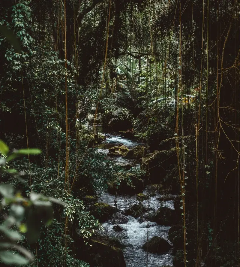 joshua-newton-egK73XCwN8I-unsplash 1 joshua-newton-egK73XCwN8I-unsplash 1